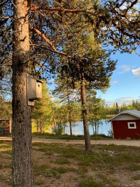 Off-Grid Cabin In Nattavaara Lapland Buitenkant foto