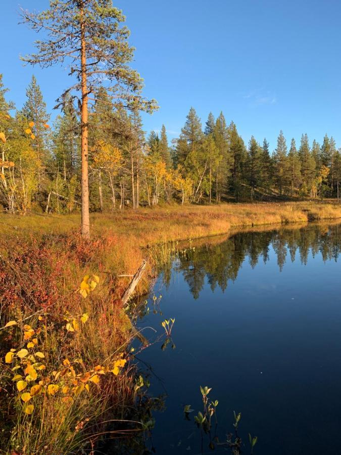 Off-Grid Cabin In Nattavaara Lapland Buitenkant foto
