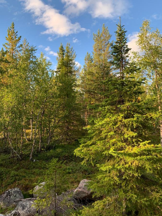 Off-Grid Cabin In Nattavaara Lapland Buitenkant foto