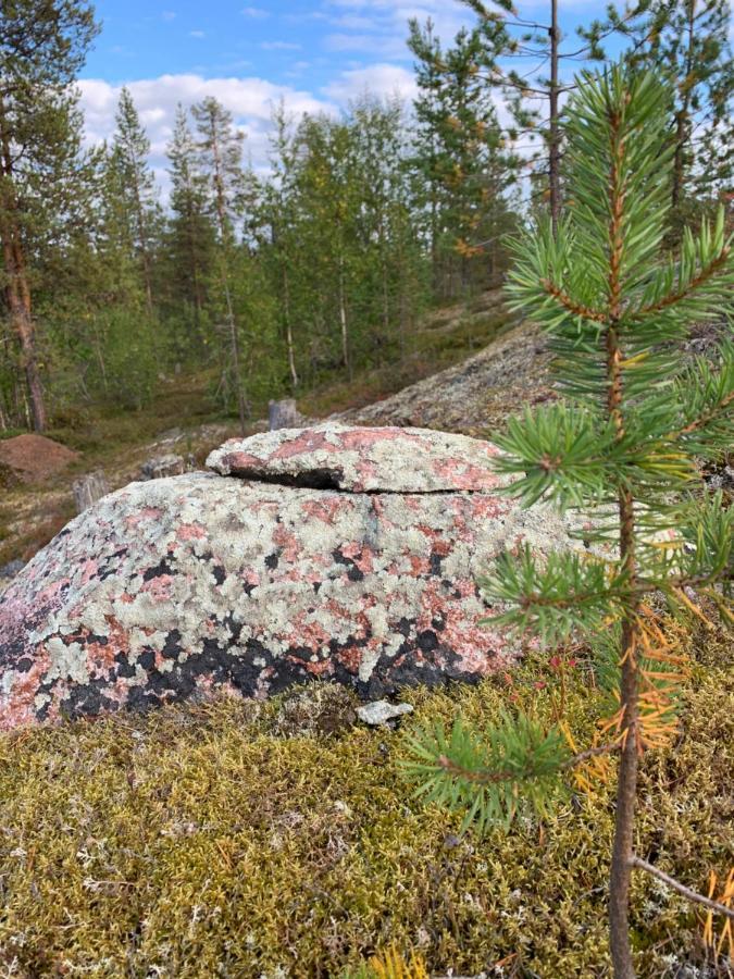 Off-Grid Cabin In Nattavaara Lapland Buitenkant foto