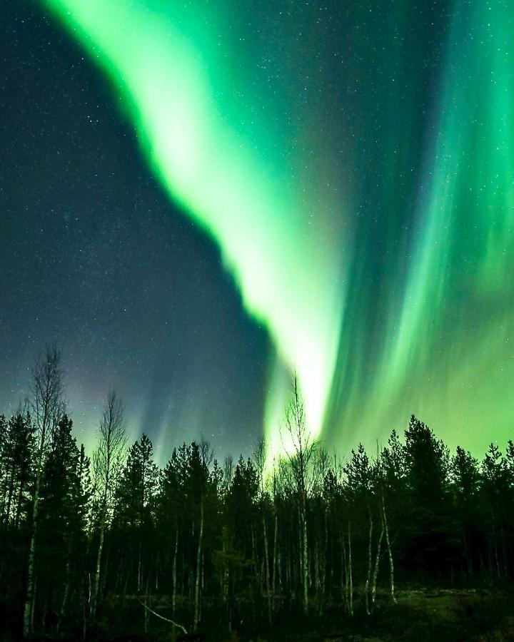 Off-Grid Cabin In Nattavaara Lapland Buitenkant foto